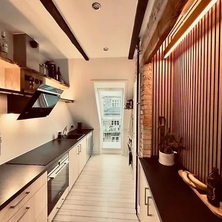 Luxury Cozy In The Centre Of C *